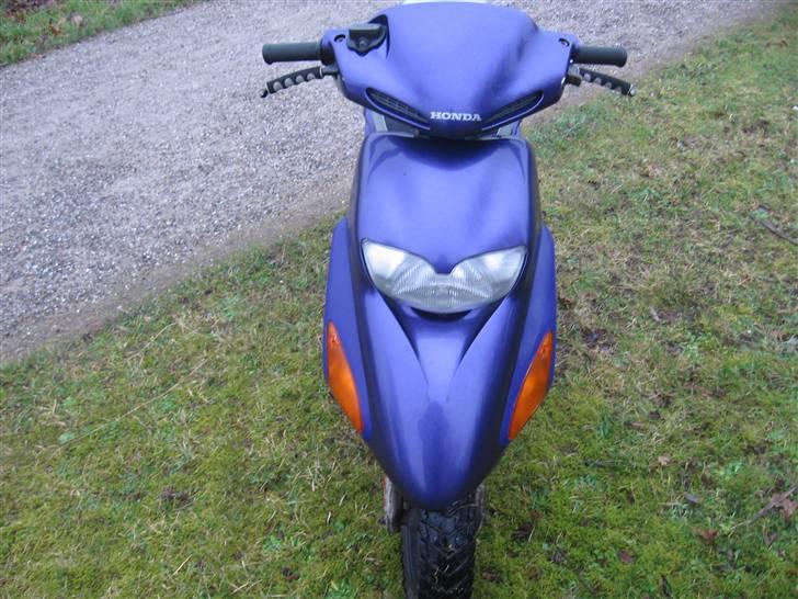 Honda SFX billede 2