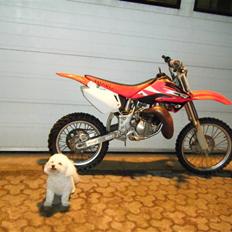 Honda Cr85 byttede til sonic !