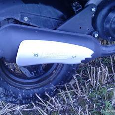 PGO hot 50 nakket af politit 