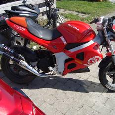 Gilera DNA