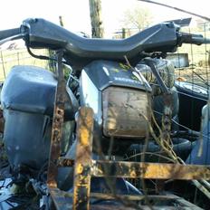 Honda wallaroo Projekt