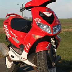 Peugeot 206 wrc speedfight 2