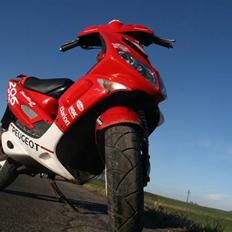 Peugeot 206 wrc speedfight 2