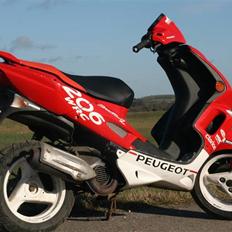 Peugeot 206 wrc speedfight 2