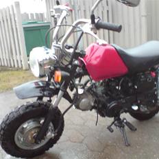 Baotian monkey byttet!!