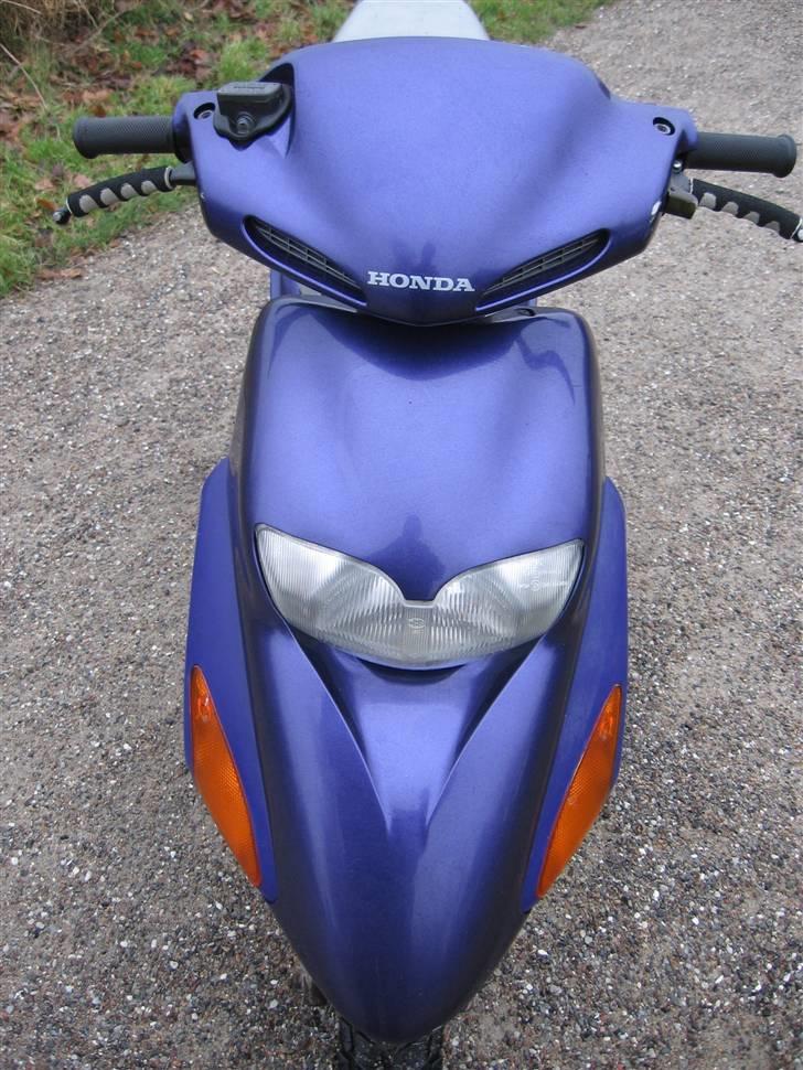 Honda SFX billede 8