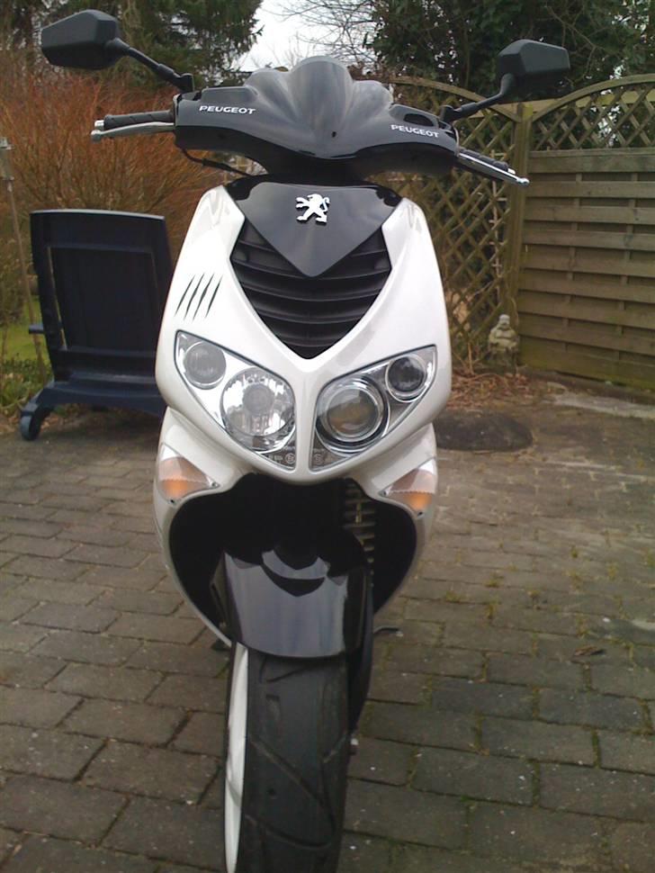 Peugeot speedfight R-Cup billede 2