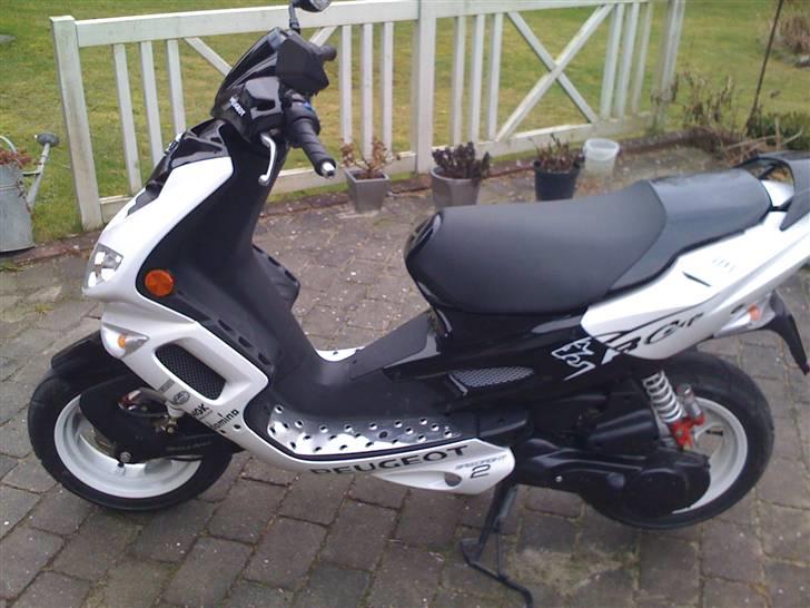 Peugeot speedfight R-Cup billede 3