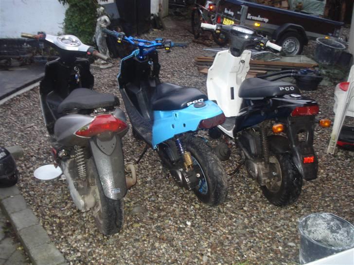 PGO Hot 50 [BYTTET TIL JOG] billede 8