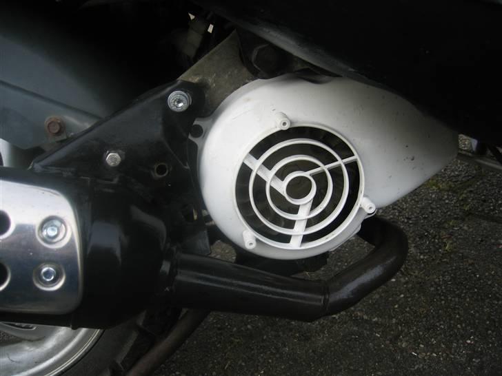 PGO Dr Big - før hen billede 2