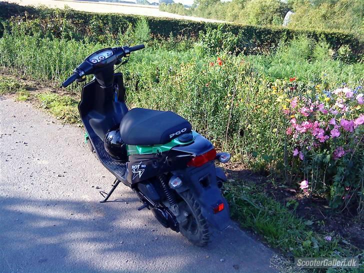 PGO hot 50 nakket af politit  billede 2