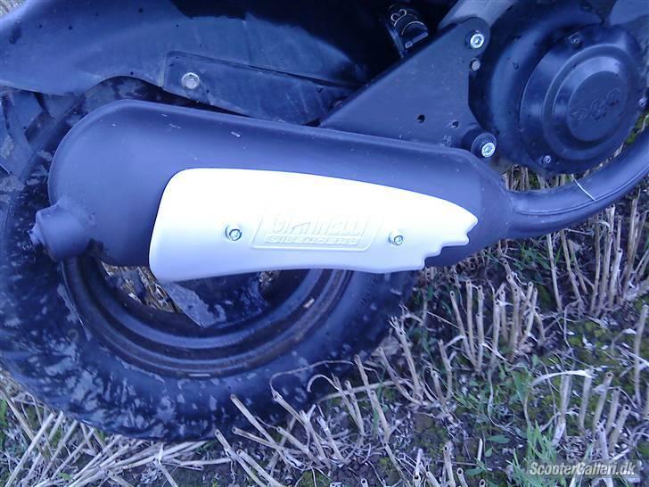 PGO hot 50 nakket af politit  billede 3