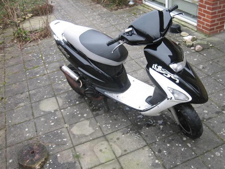 Honda Sfx * billede 1