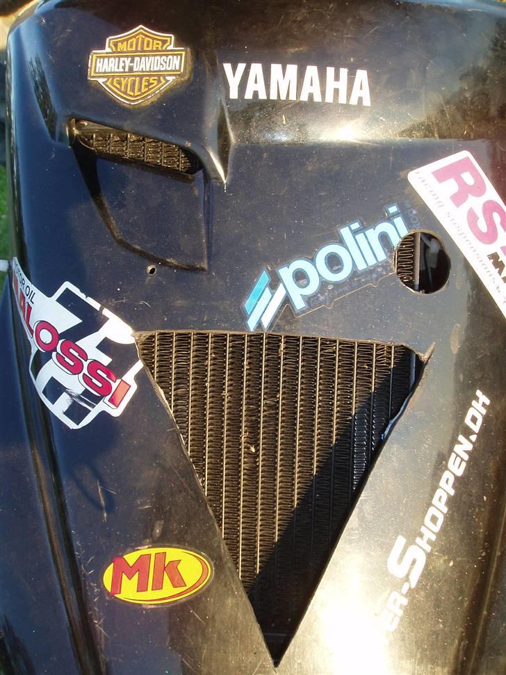 Kreidler easy rider .....nu..... billede 13