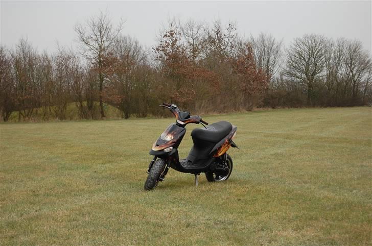 Gilera stalker Anne solgt billede 2