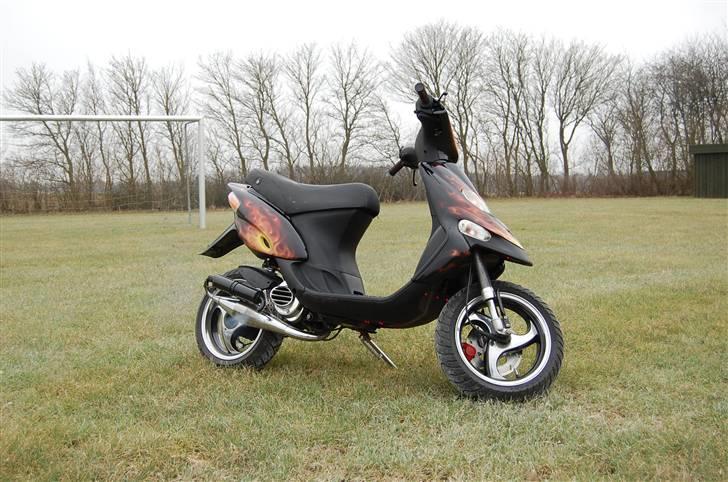 Gilera stalker Anne solgt billede 4