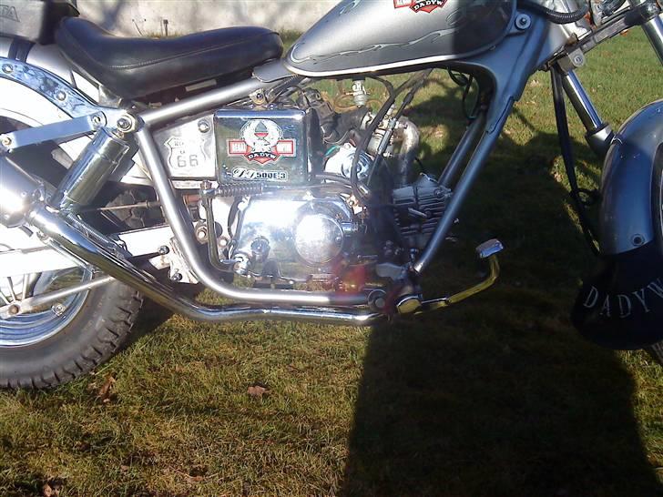 Regal Raptor [Byttet] billede 11