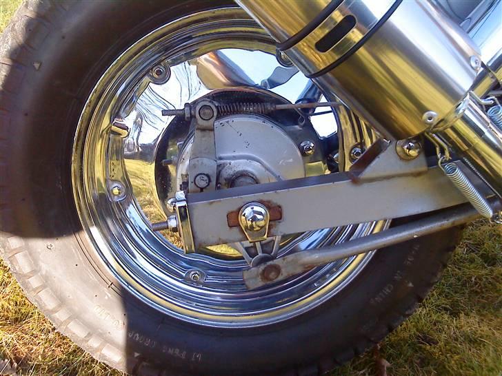 Regal Raptor [Byttet] billede 12