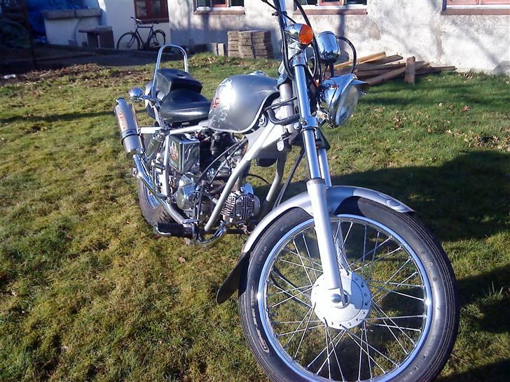 Regal Raptor [Byttet] billede 13