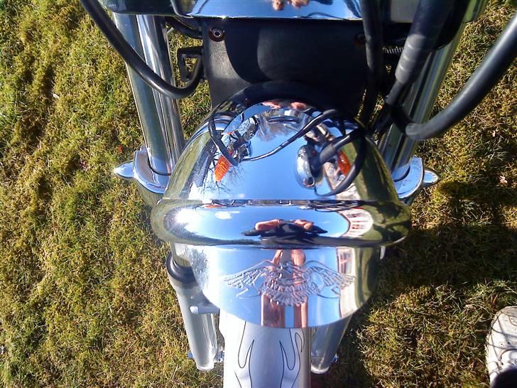 Regal Raptor [Byttet] billede 14