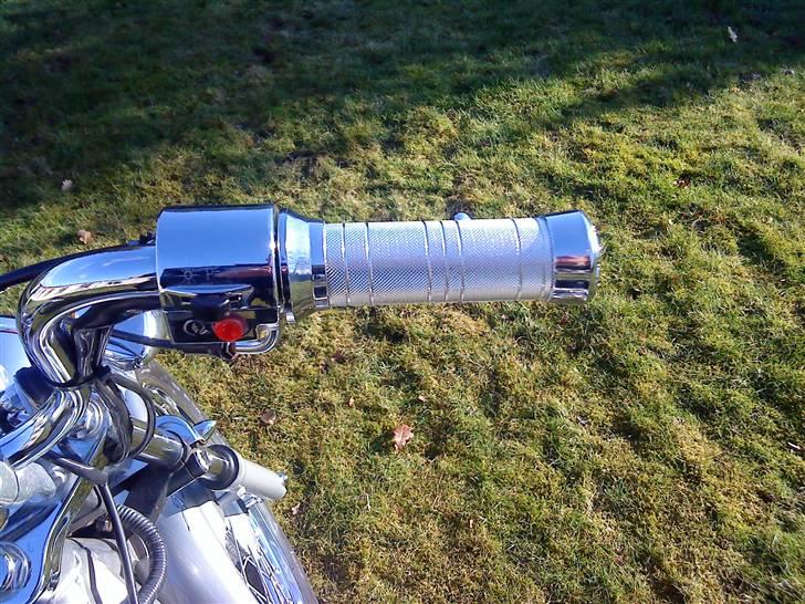 Regal Raptor [Byttet] billede 15