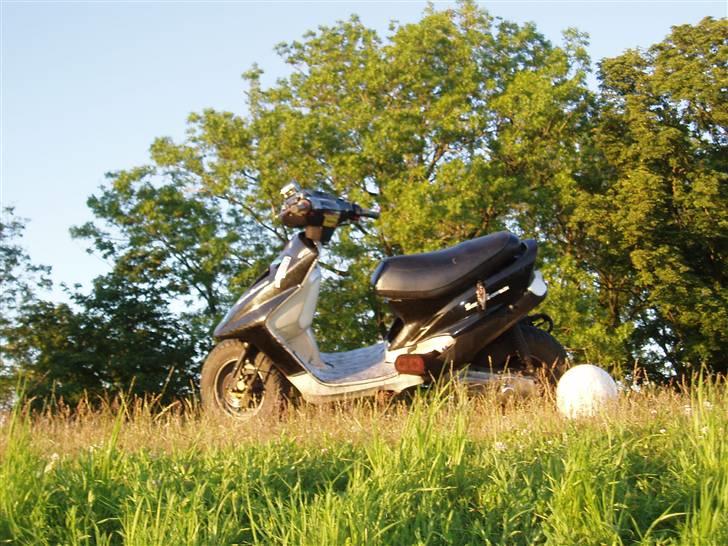 Kreidler easy rider .....nu..... billede 16