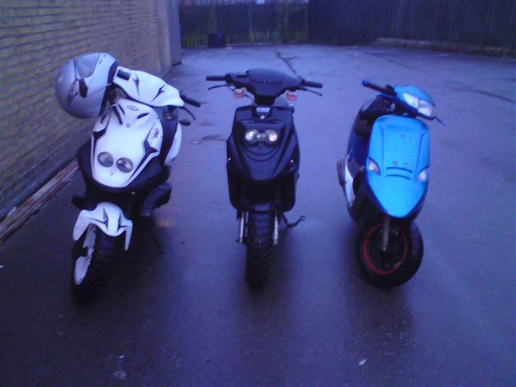 PGO Pmx sport 2008 Til salg billede 8