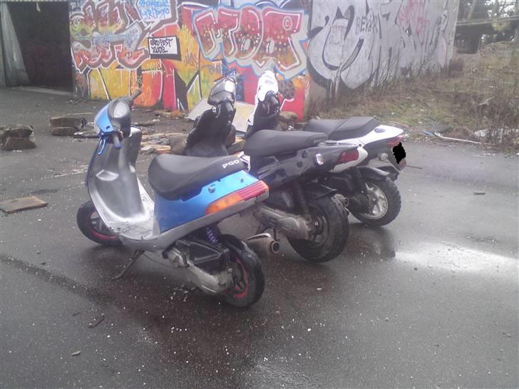 PGO Pmx sport 2008 Til salg billede 11