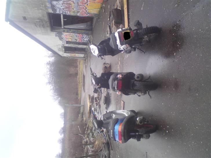 PGO Pmx sport 2008 Til salg billede 12