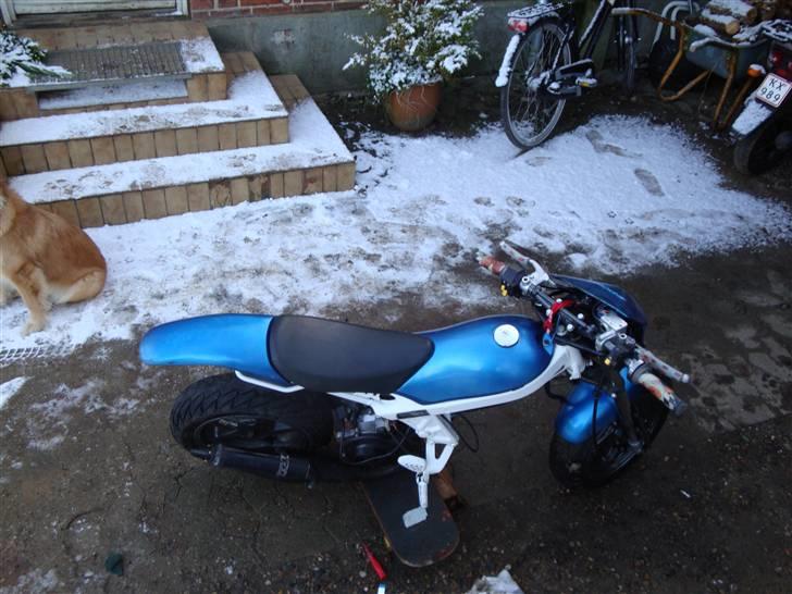 Suzuki Street magic (Tilsalg)  billede 17