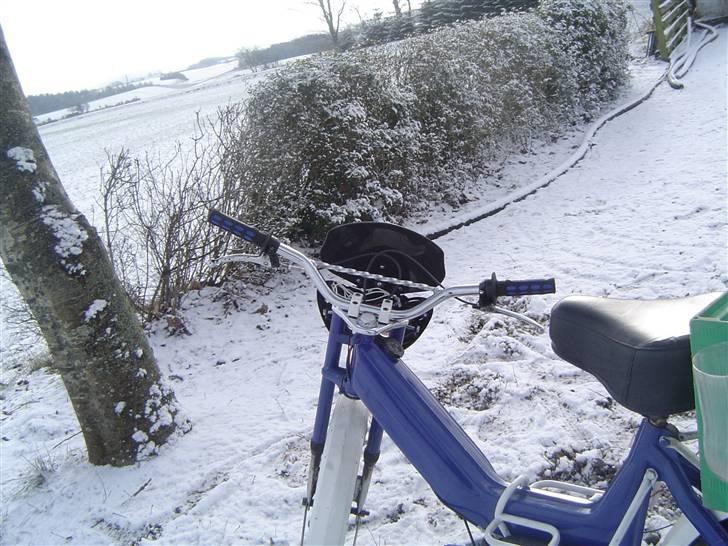 Puch Maxi K AC {BYTTET} - Bagfra zoomet ind billede 6