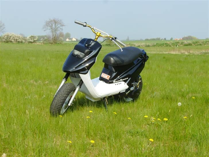 PGO Hot 50 AKA Lemmedaskeren billede 1