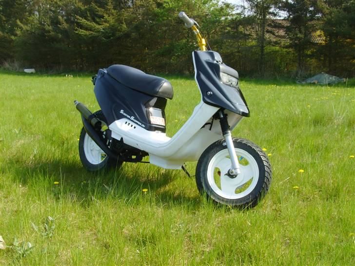 PGO Hot 50 AKA Lemmedaskeren billede 2