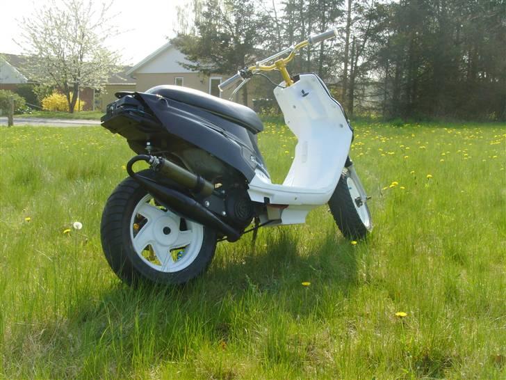 PGO Hot 50 AKA Lemmedaskeren billede 4