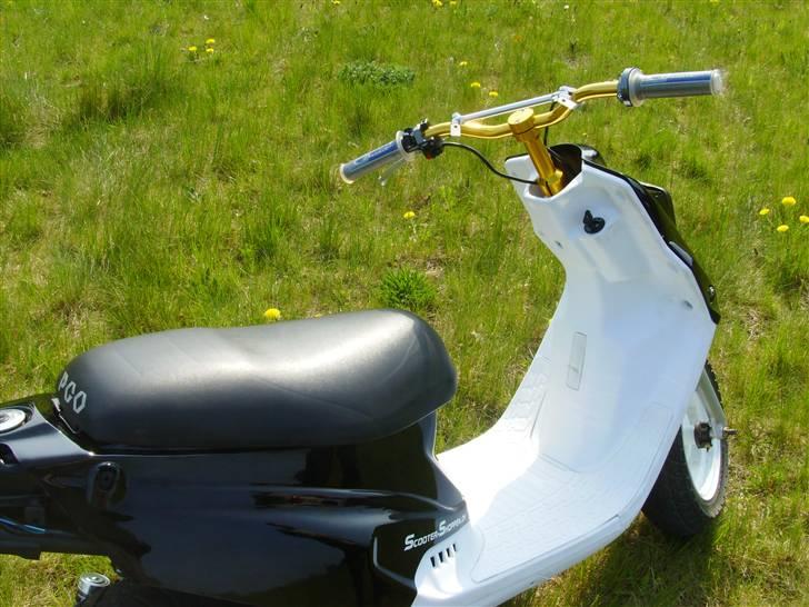 PGO Hot 50 AKA Lemmedaskeren billede 5