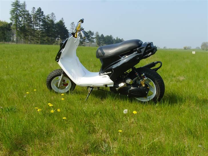 PGO Hot 50 AKA Lemmedaskeren billede 7