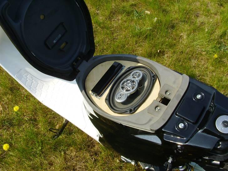 PGO Hot 50 AKA Lemmedaskeren billede 10