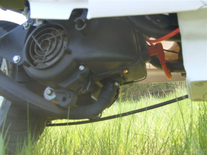 PGO Hot 50 AKA Lemmedaskeren billede 12