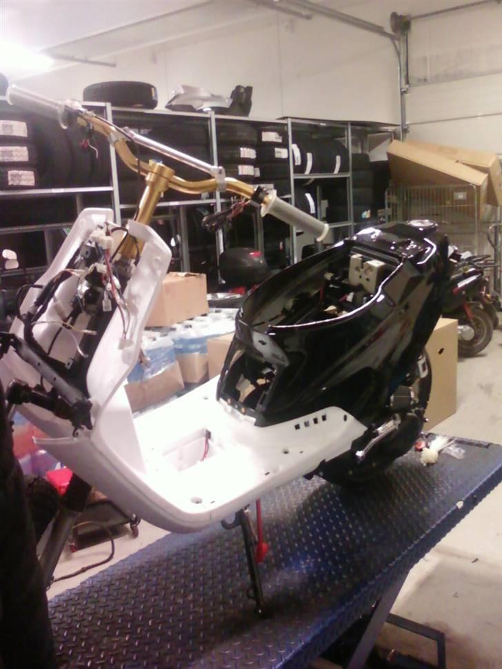 PGO Hot 50 AKA Lemmedaskeren billede 17