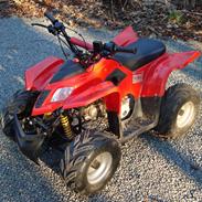 MiniBike ATV