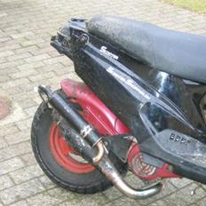 PGO 2004