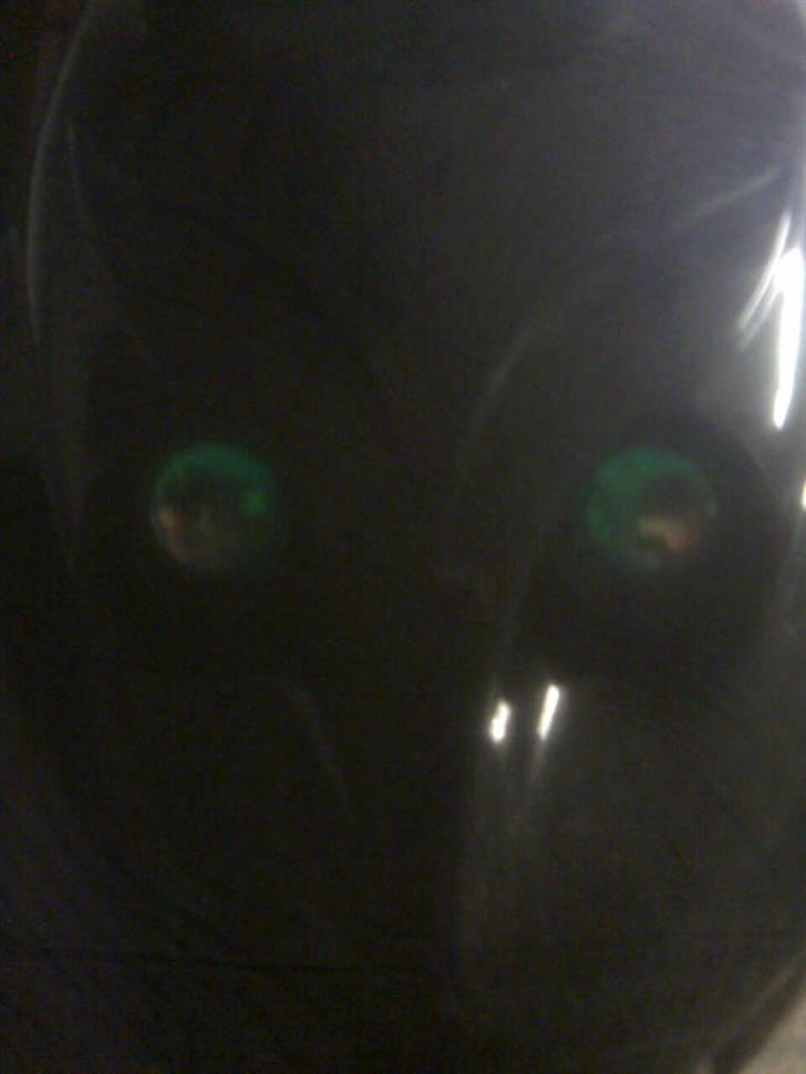 PGO tornado solgt billede 3