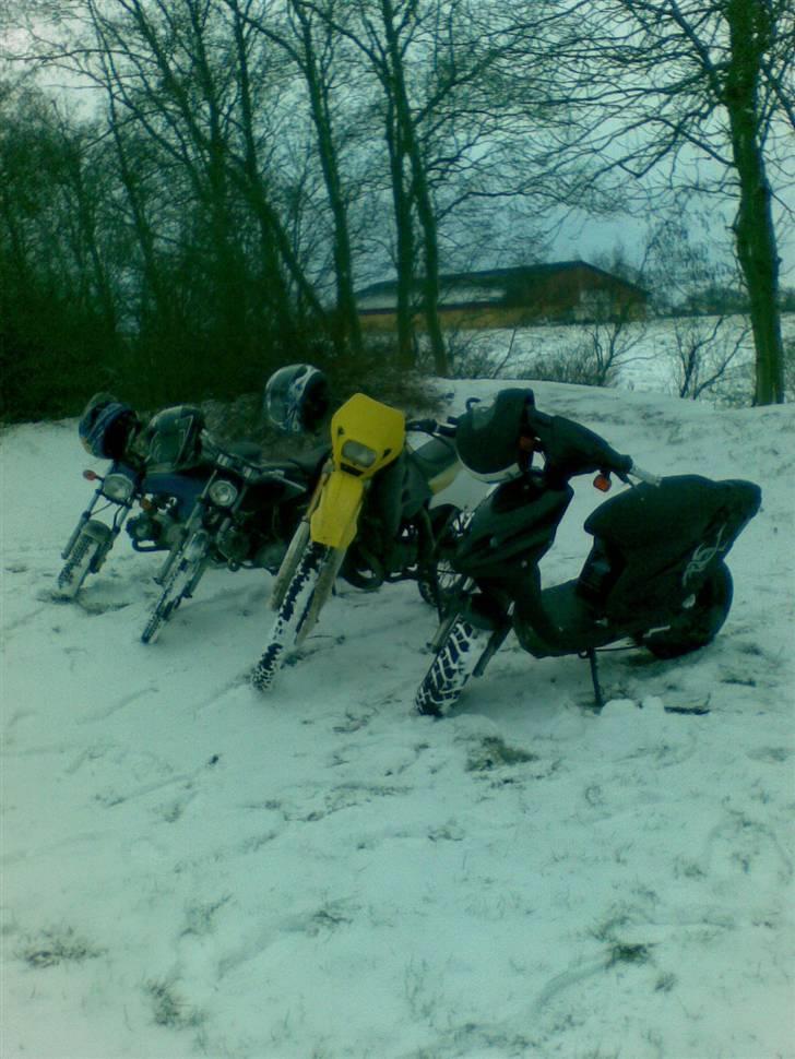 PGO tornado solgt billede 9