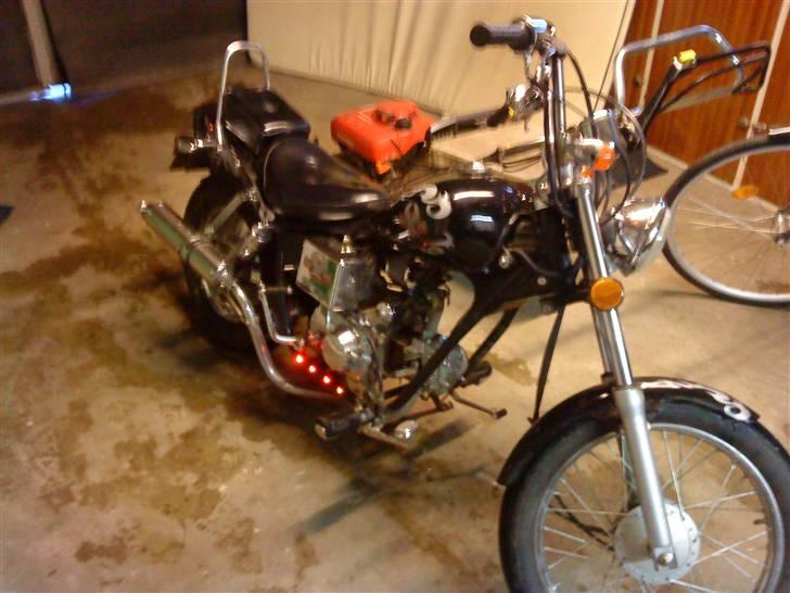 Regal raptor billede 10