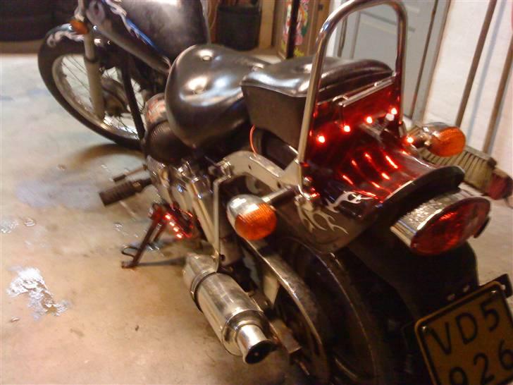 Regal raptor billede 13