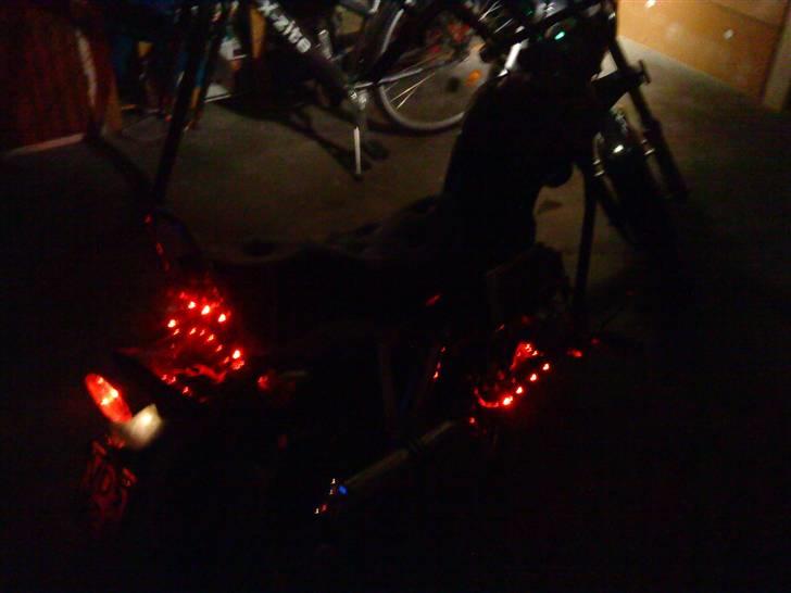 Regal raptor billede 15