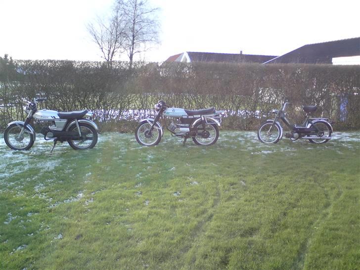 Puch Monza 3 gear billede 6