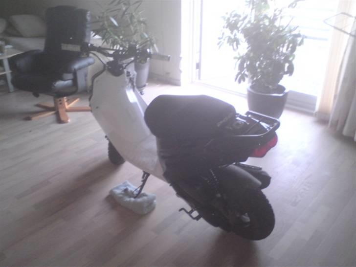 PGO Hot 50<3 billede 2