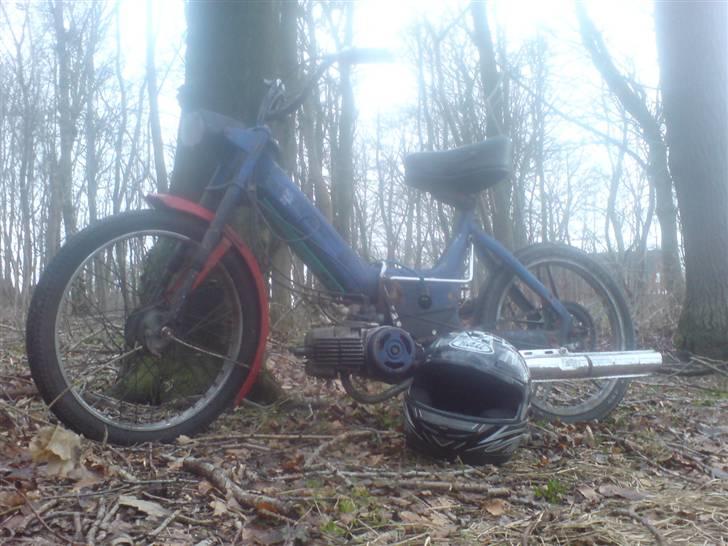 Puch Maxi ( BYTTET ) - Yndlings billed ;i billede 9