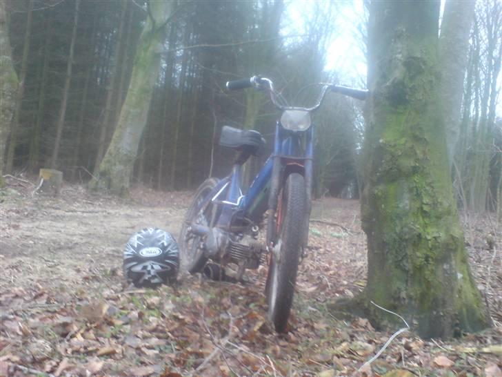 Puch Maxi ( BYTTET ) billede 12